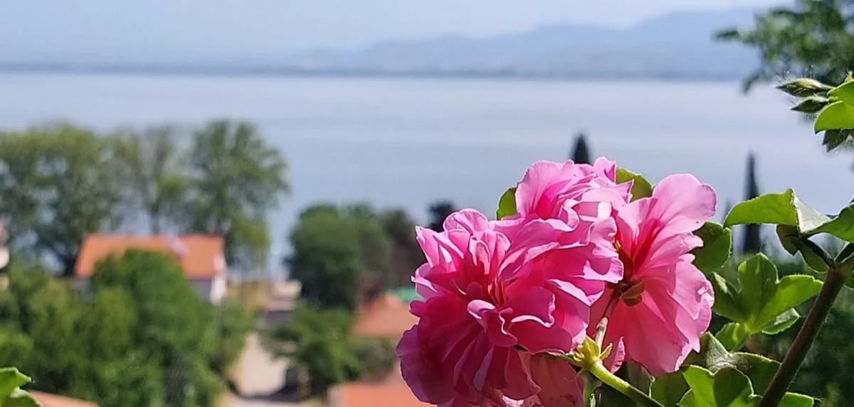 Apartmani Vila Roza - smeštaj u Starom Dojranu
