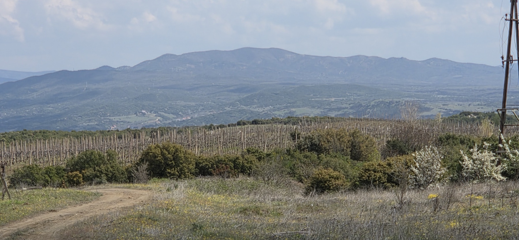 Πανοραμική θέα σε γη, αμπελώνες και ορεινό τοπίο