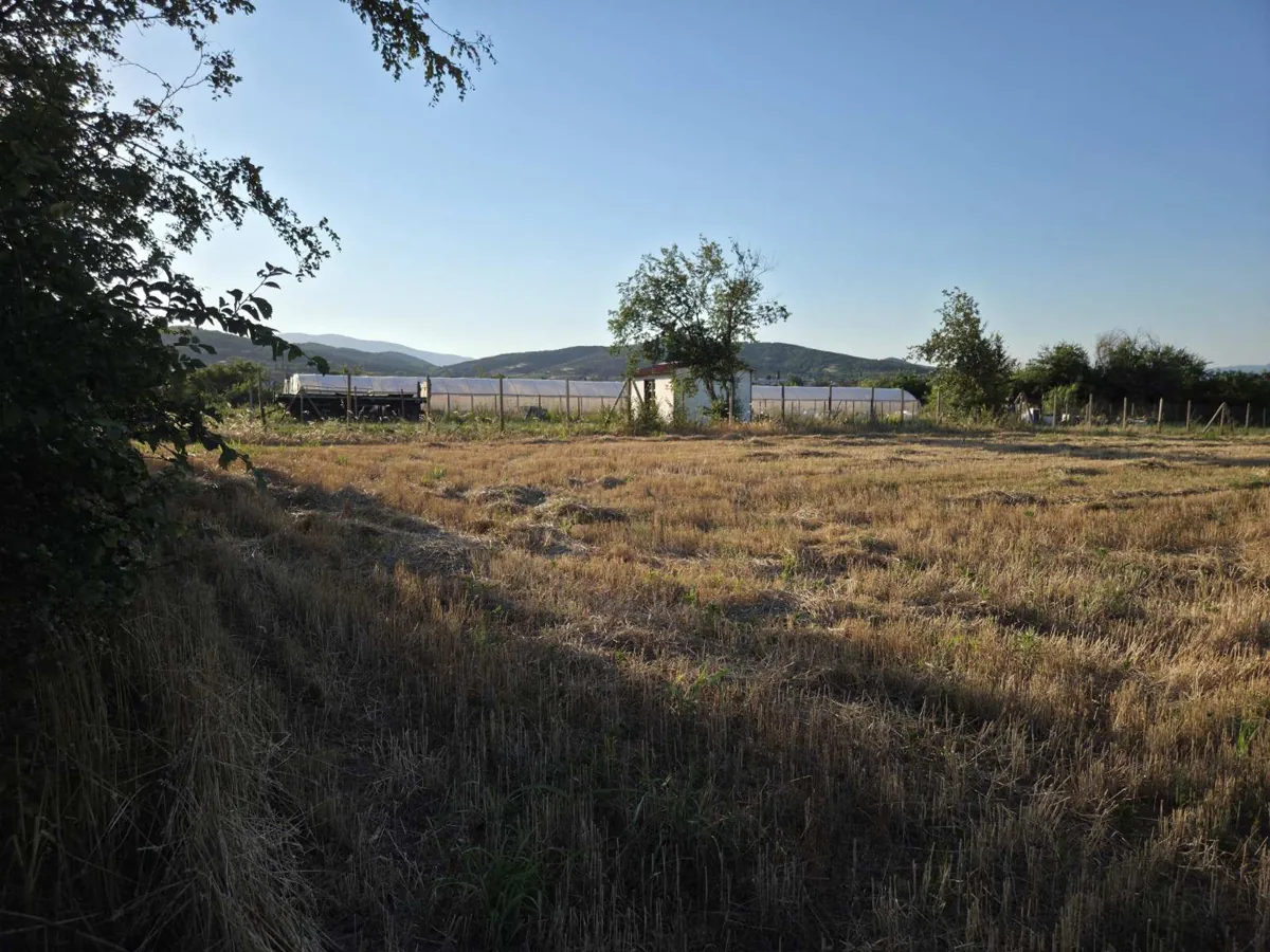 Περιβάλλον και γειτονικά ακίνητα γύρω από το 3937/1